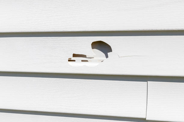 Best Shed Removal  in Hawley, PA